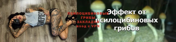 ПСИЛОЦИБИНОВЫЕ ГРИБЫ Абдулино