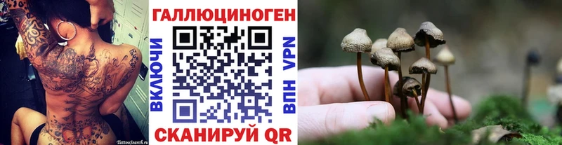 Псилоцибиновые грибы Psilocybe  Стерлитамак 